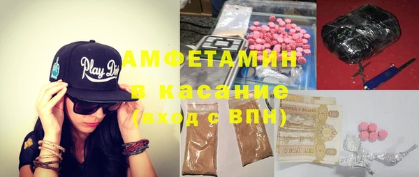 индика Вязники