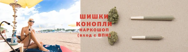 индика Вязники