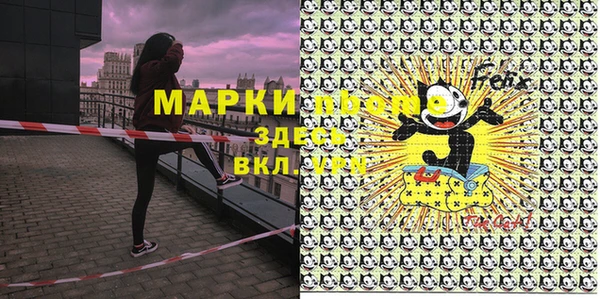 индика Вязники