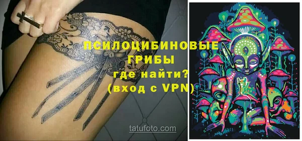 индика Вязники