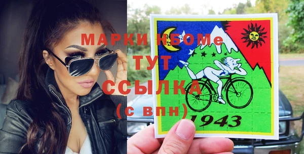 индика Вязники