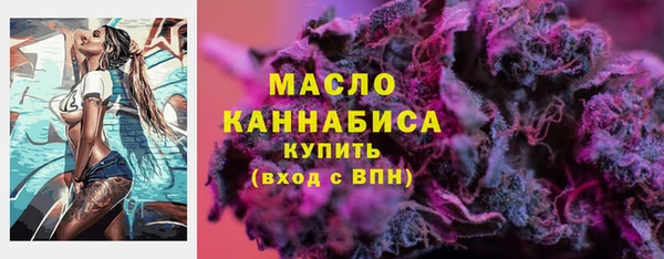 индика Вязники