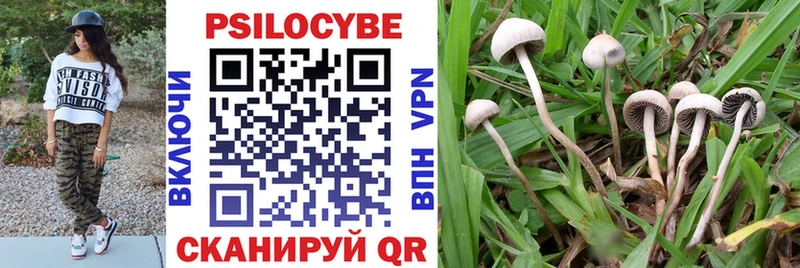 Псилоцибиновые грибы мухоморы  Купить  Ковылкино 