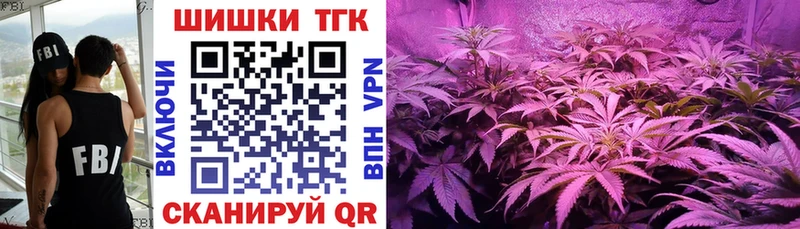 Бошки Шишки OG Kush  Купить закладки  Ковылкино 